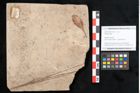 Foto (Objekt + Etikett) von Plantae indet.  (NHMW-GEO-2024-0188-11546)